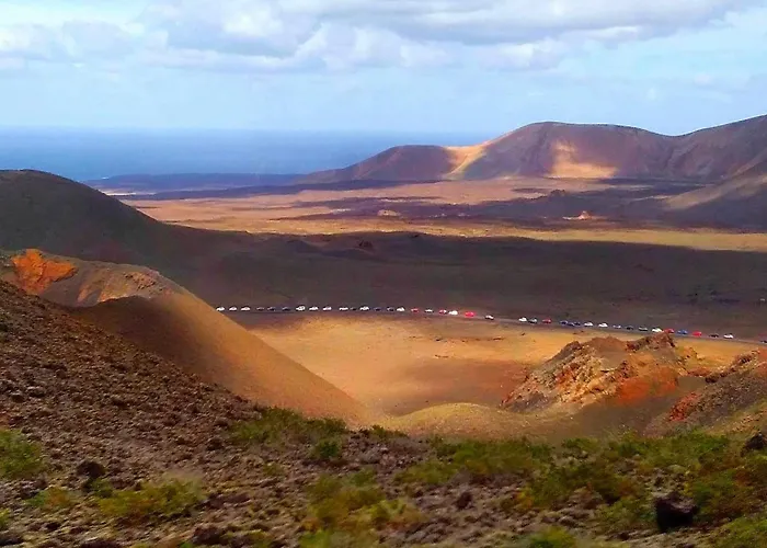 Vincent, Cozy And Sunny Over The Rooftops *